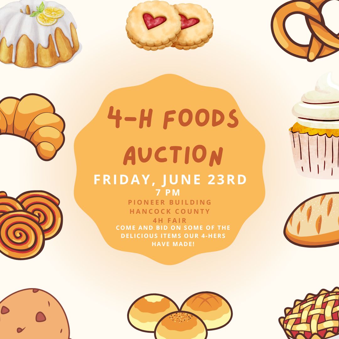 Foods Auction 2023 (1)